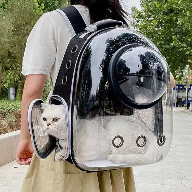 Pawvaluxe Voyage