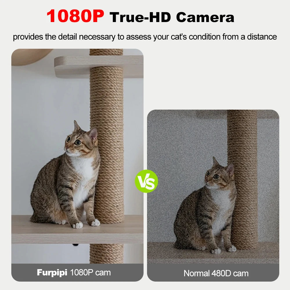 Pawvaluxe Smart Pet Feeder