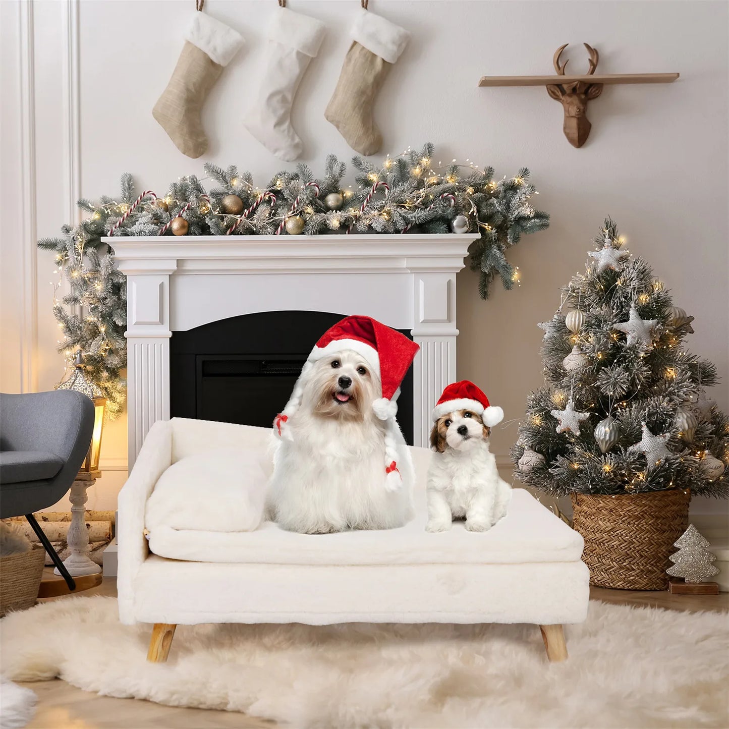 Pawvaluxe Royal Rest