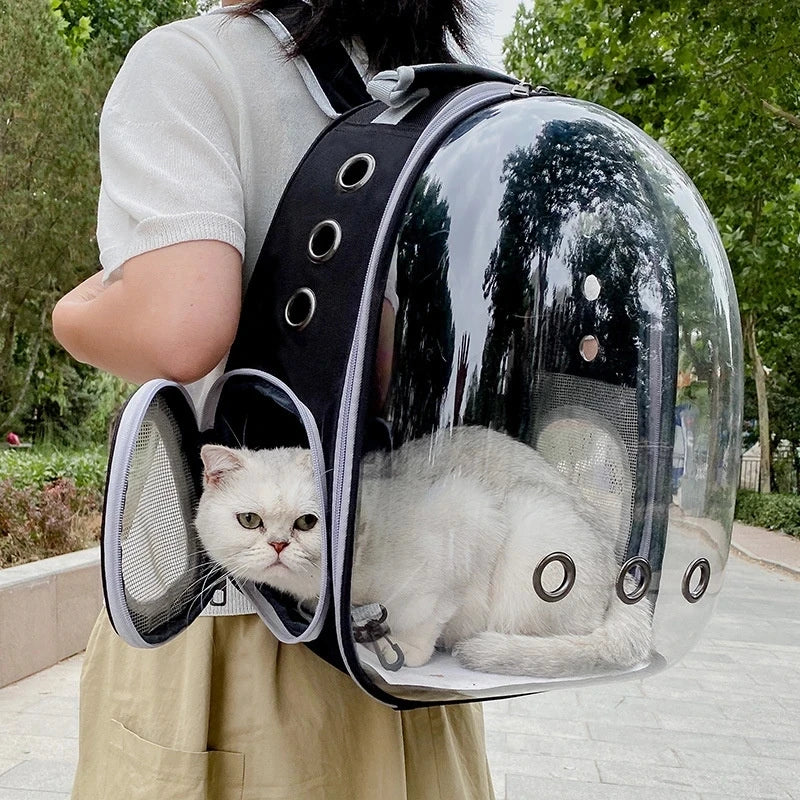 Pawvaluxe Voyage