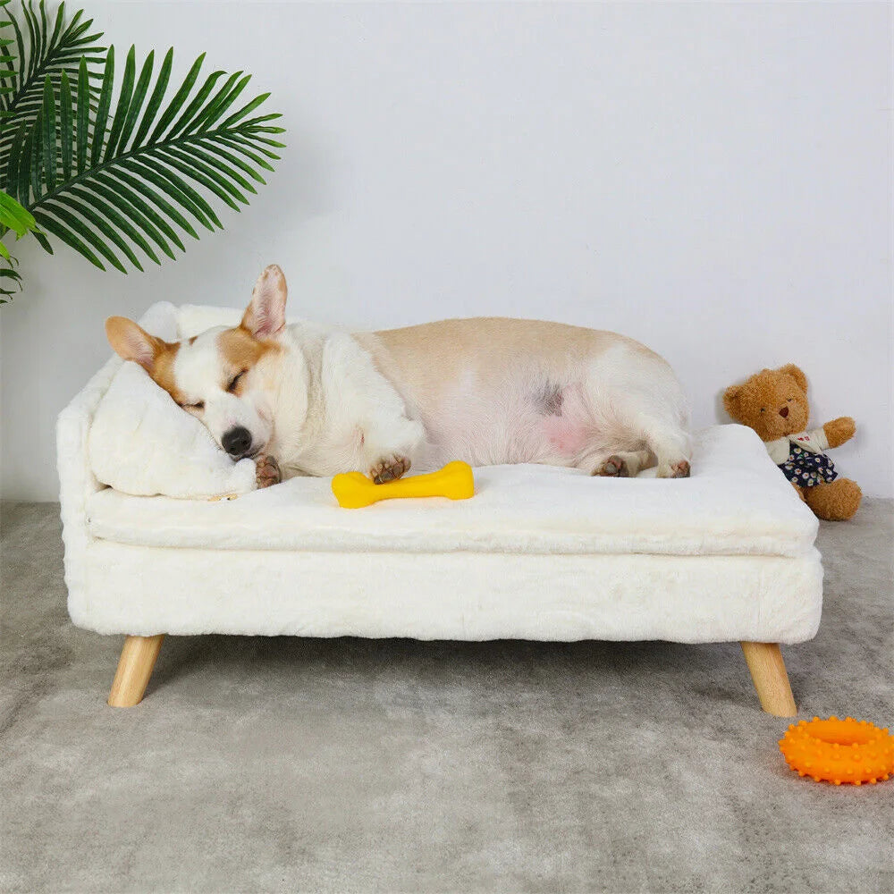 Pawvaluxe Royal Rest