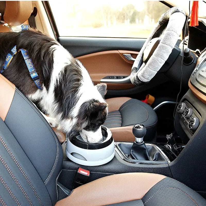 Pawvaluxe Portable Pet Water Bowl