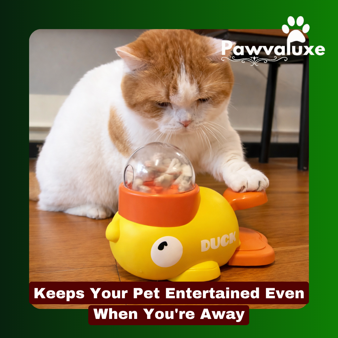 Pawvaluxe Duckie Delight