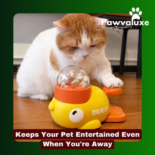 Pawvaluxe Duckie Delight