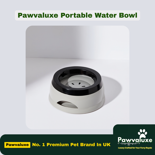 Pawvaluxe Portable Pet Water Bowl