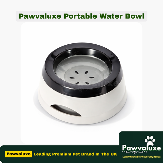 Pawvaluxe Portable Pet Water Bowl