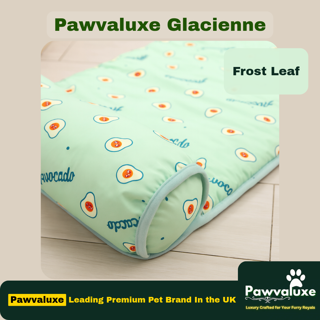 Pawvaluxe Glacienne