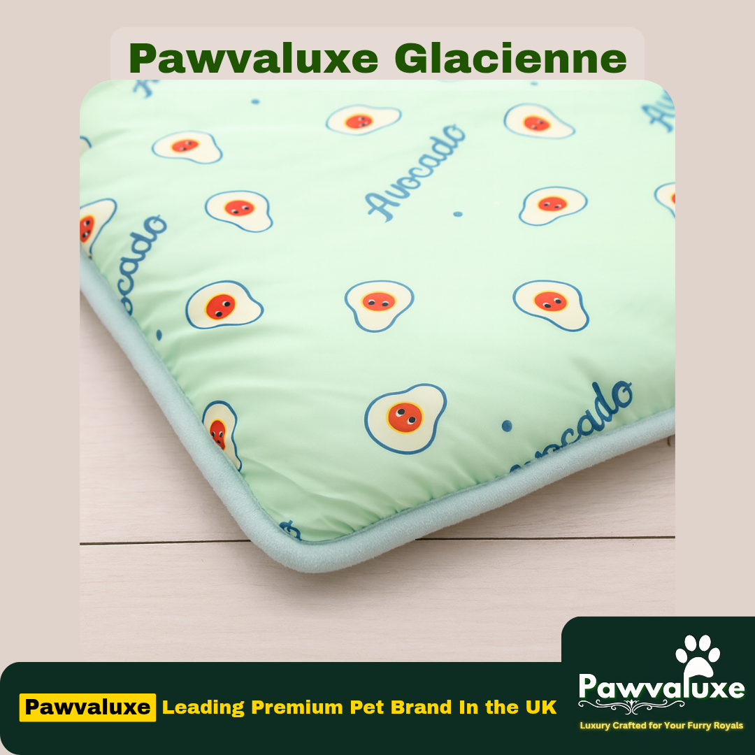 Pawvaluxe Glacienne