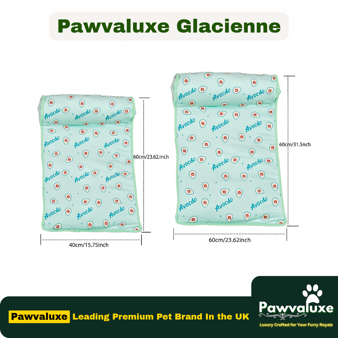 Pawvaluxe Glacienne