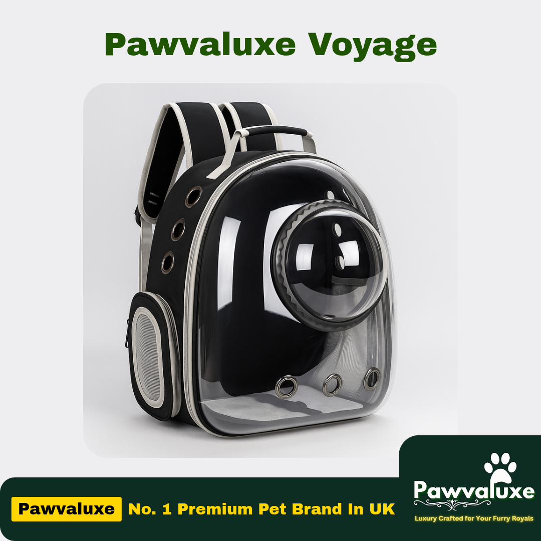 Pawvaluxe Voyage