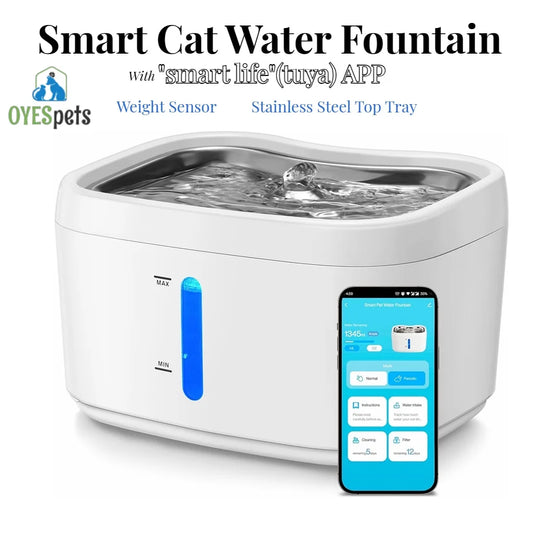 Pawvaluxe Diamond Crystal Fountain