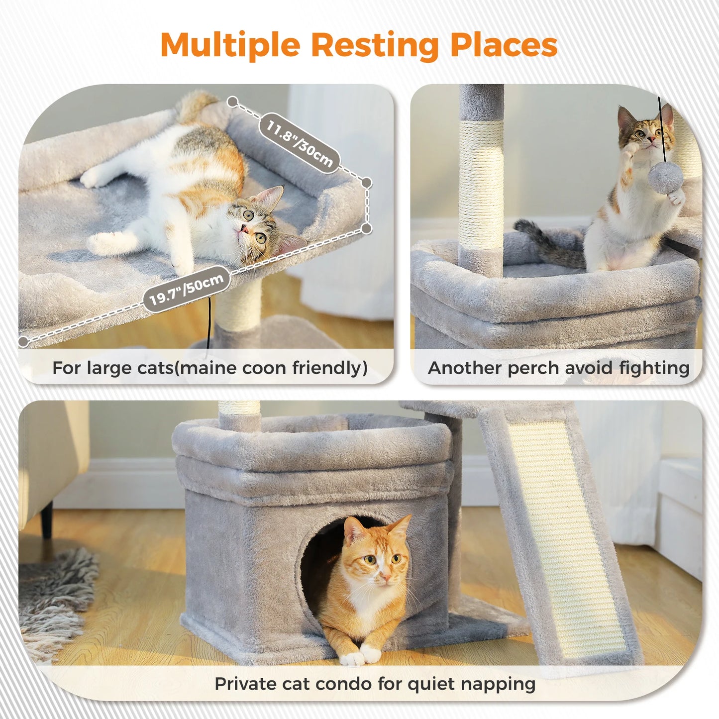 Pawvaluxe Monarch Palace